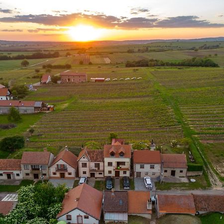 Vinný Sklep Monty Velké Bílovice Extérieur photo