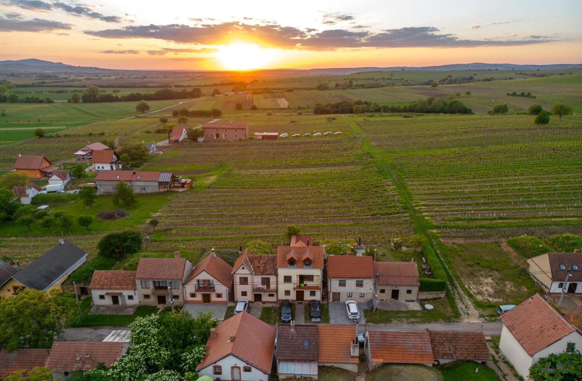 Vinný Sklep Monty Velké Bílovice Extérieur photo